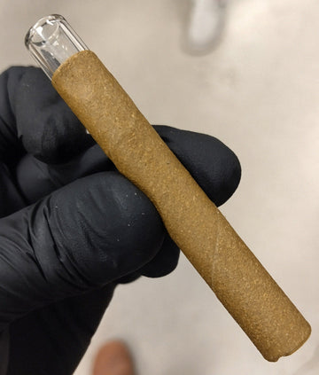 Hash Holes Peachy Ringz