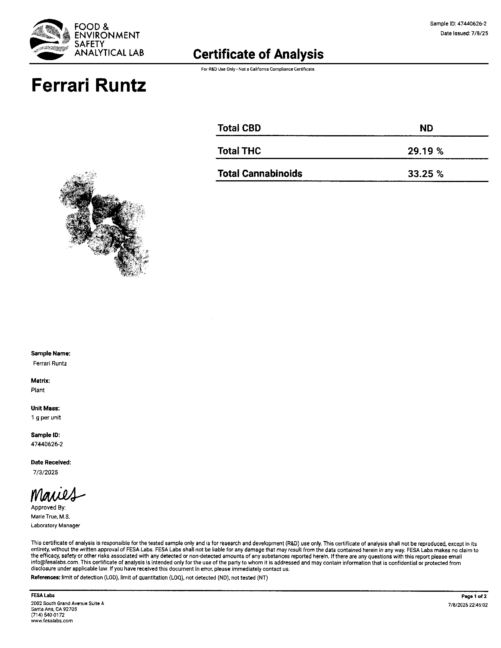 Ferrari Runtz (Hybrid)