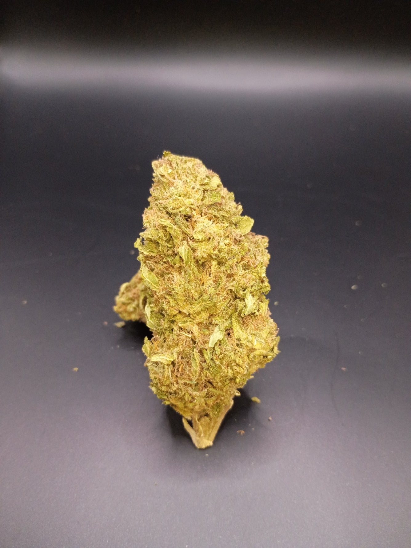 Guava Gummies (Sativa Hybrid)