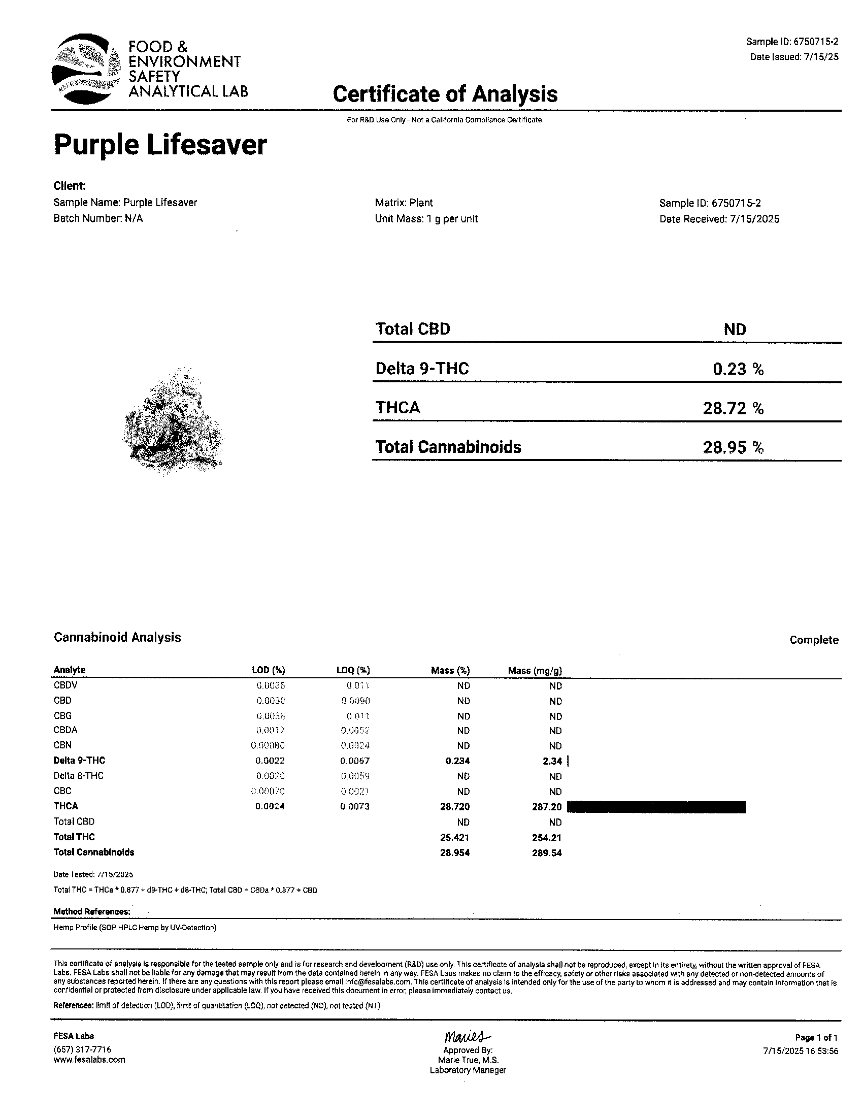 Purple Lifesaver (Indica Hybrid)
