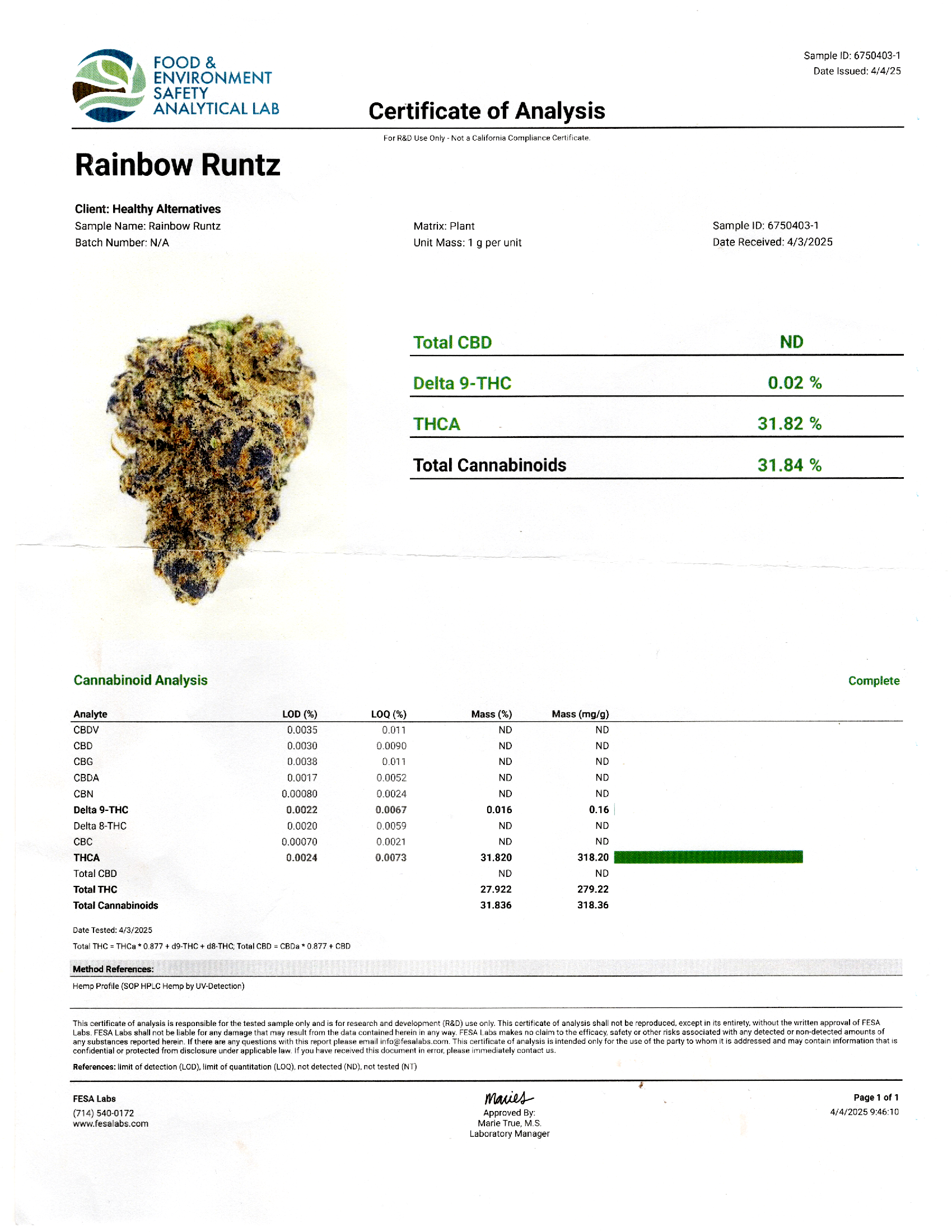 Rainbow Runtz (Indica)