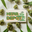 HerbDepotCannabis™ logo