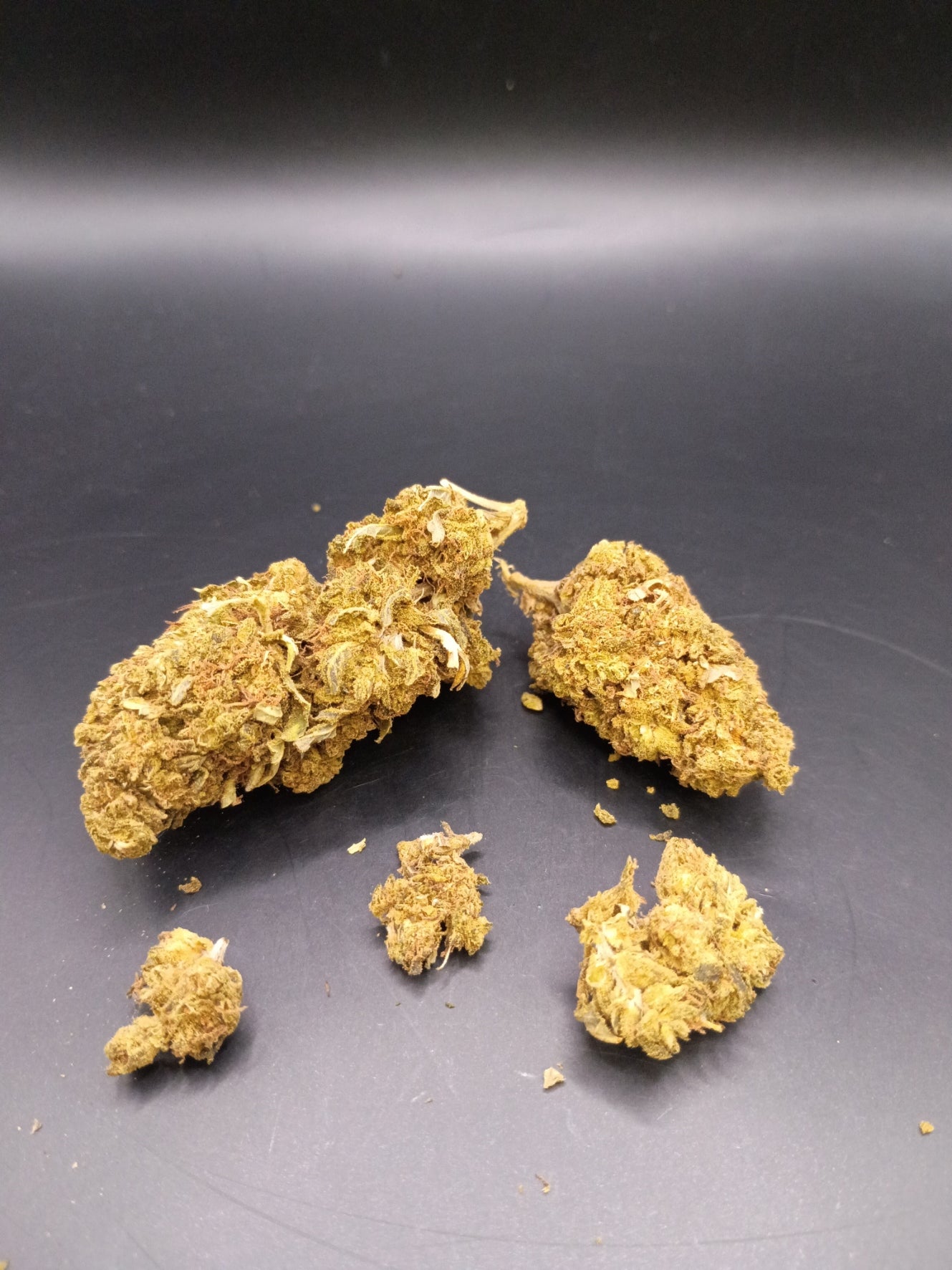 Biochem (Indica)