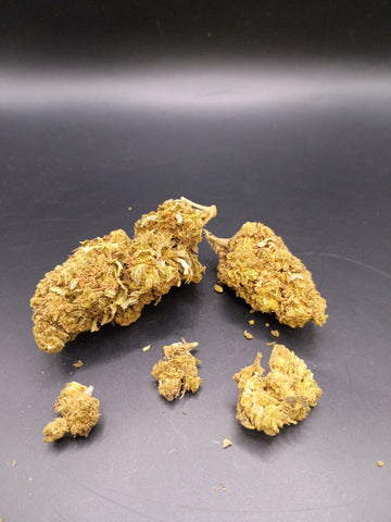 Biochem (Indica)