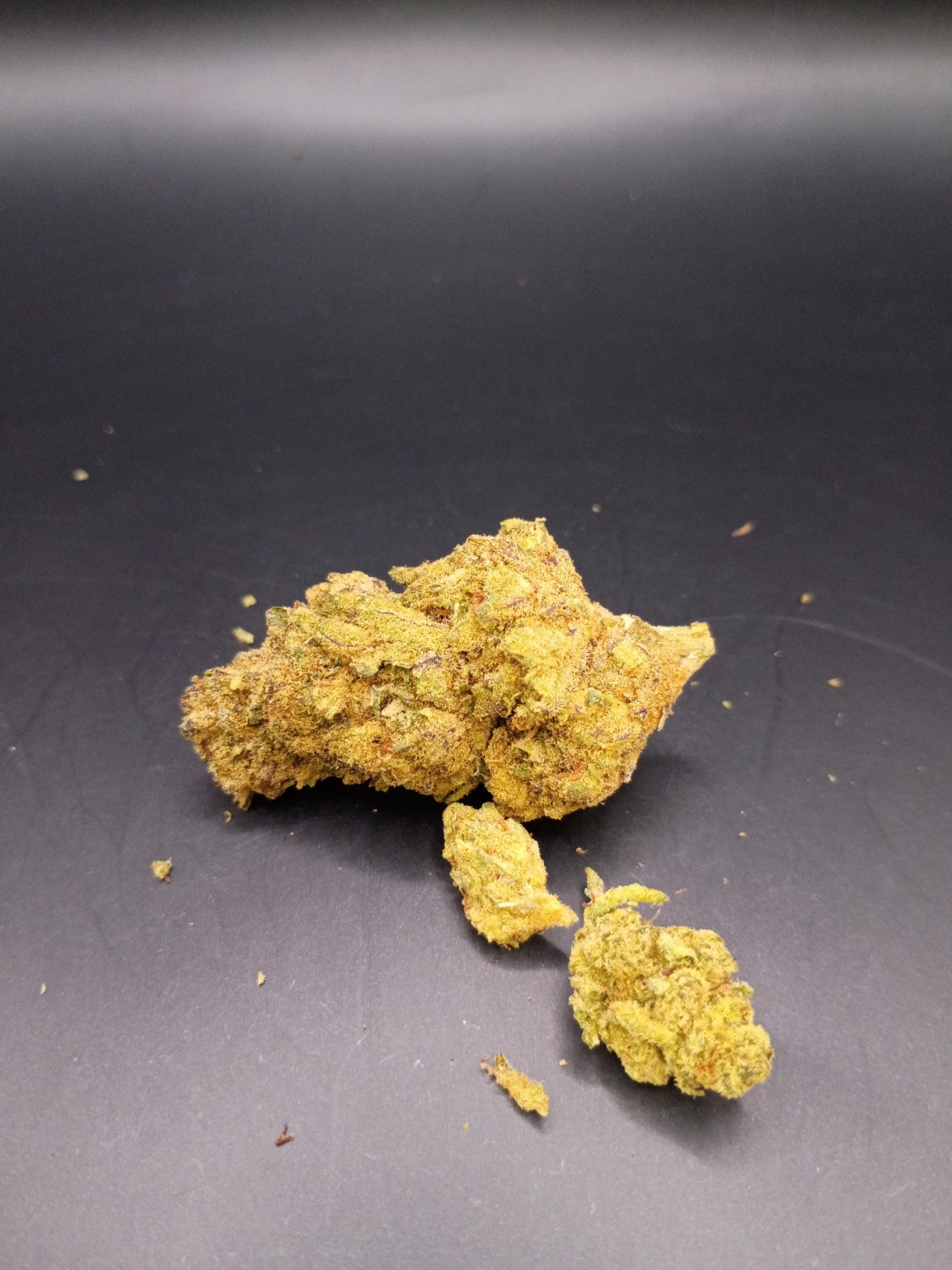 Cat Piss (Sativa)