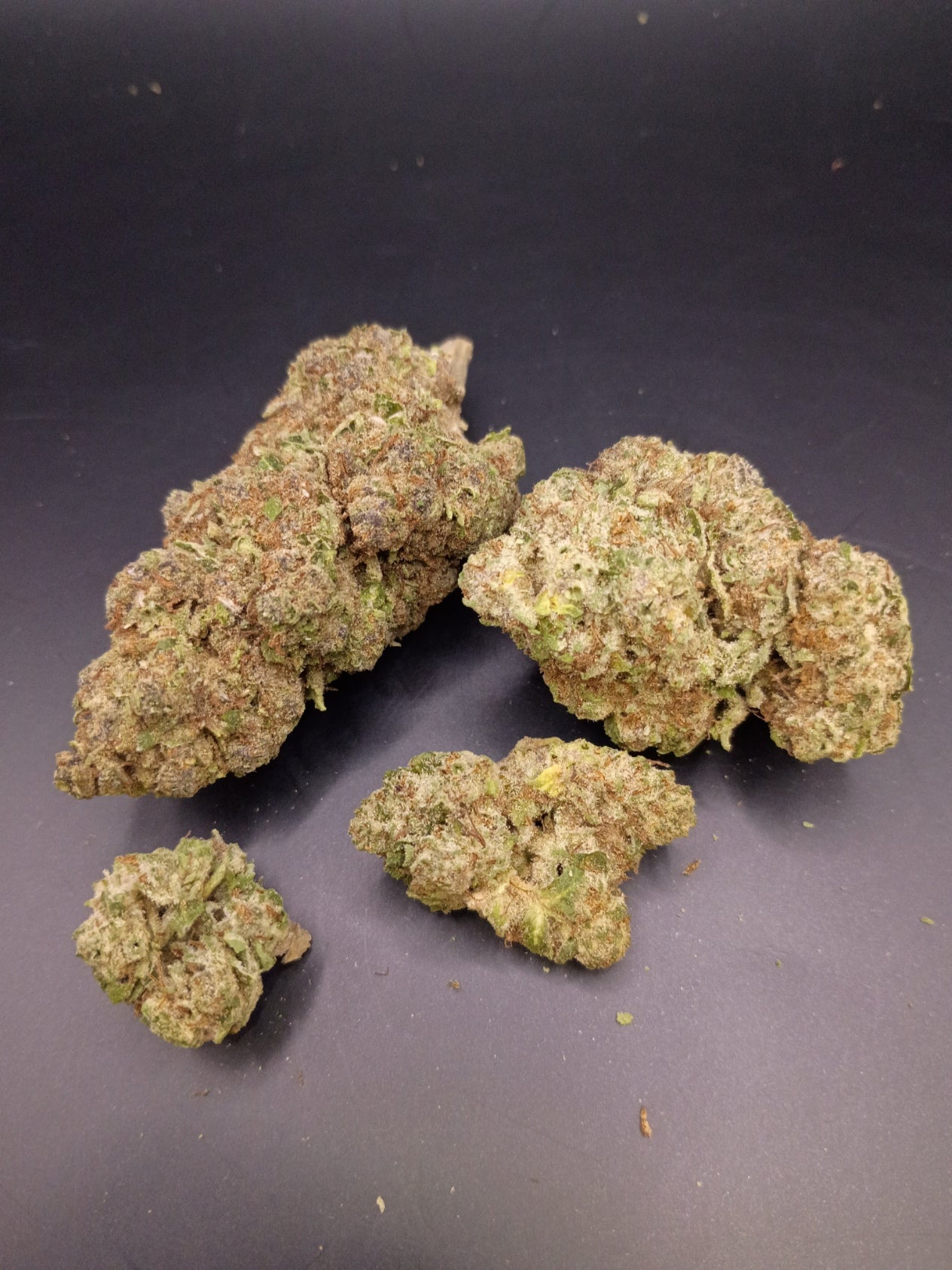Cinderella 99 (Sativa Hybrid)