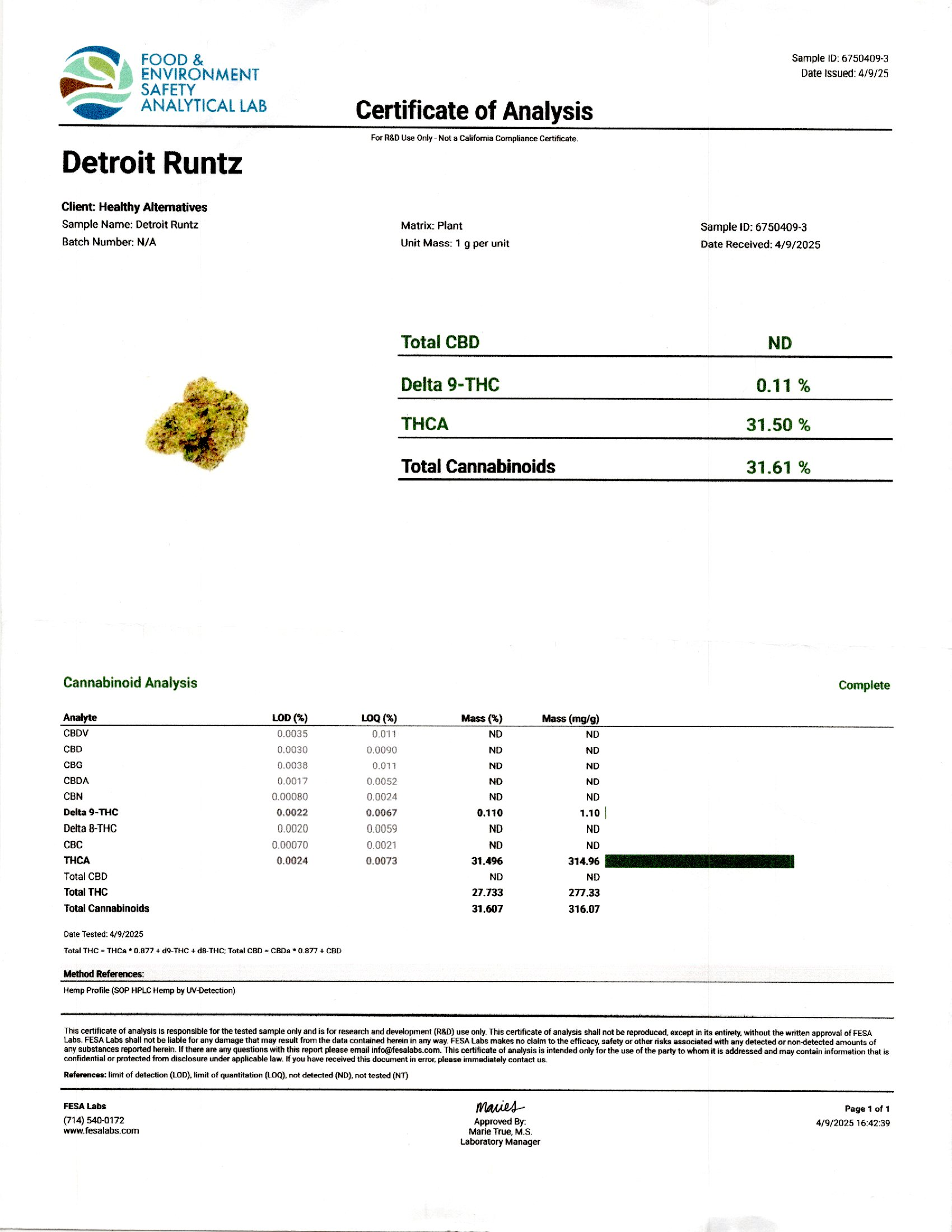 Detroit Runtz (Hybrid)