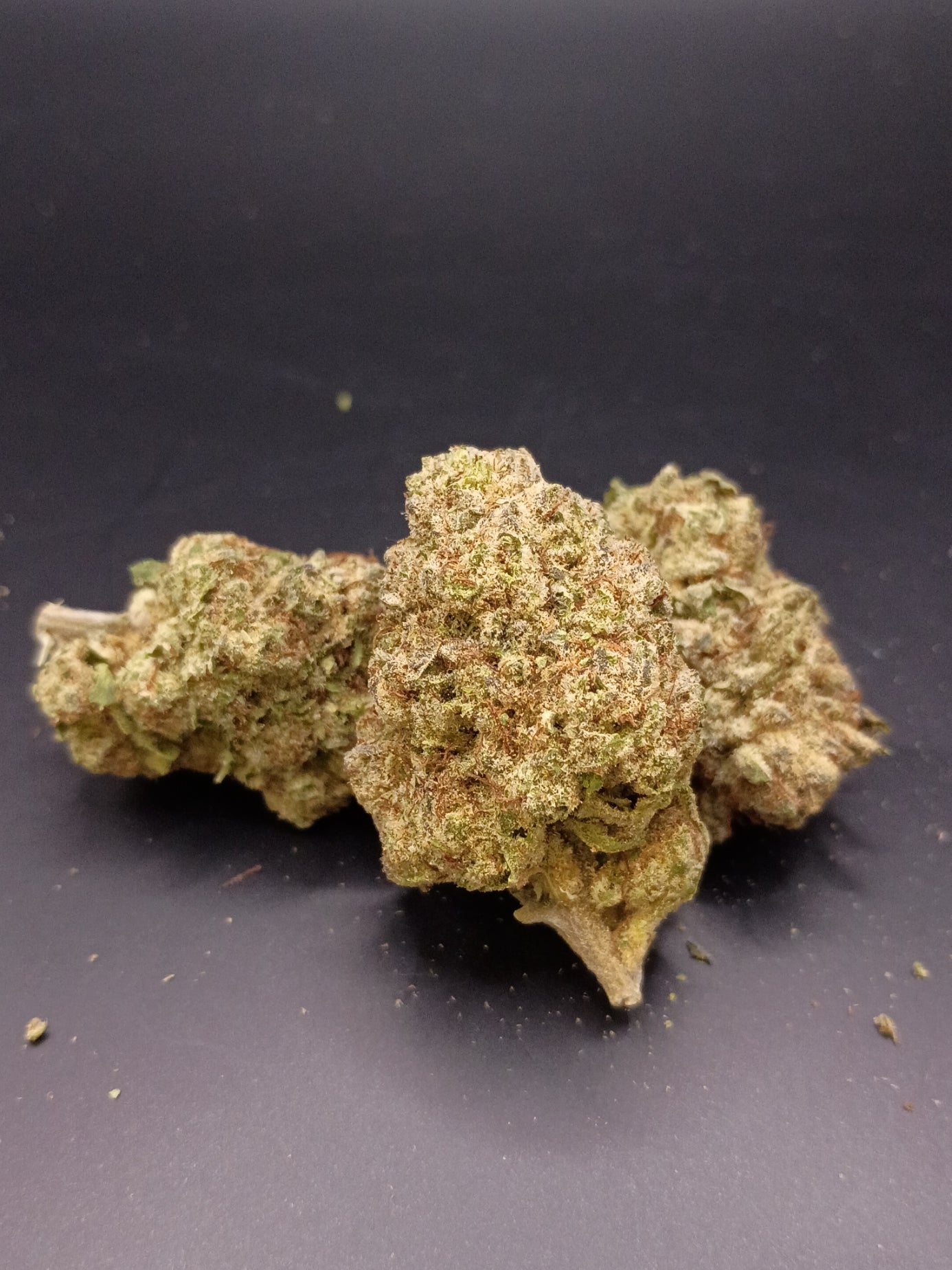 Ghost Train (Sativa)