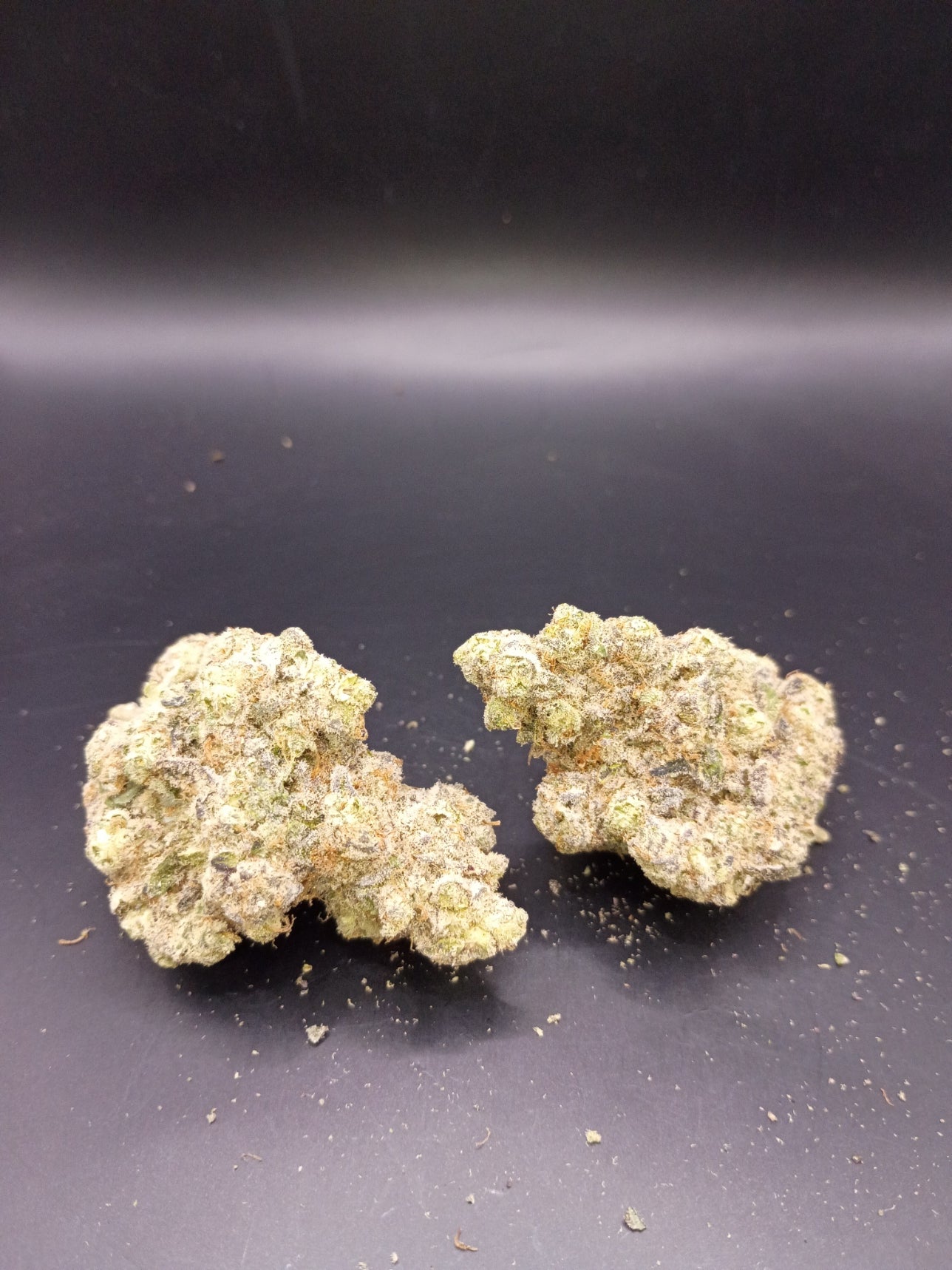 Glass Slippers (Sativa)