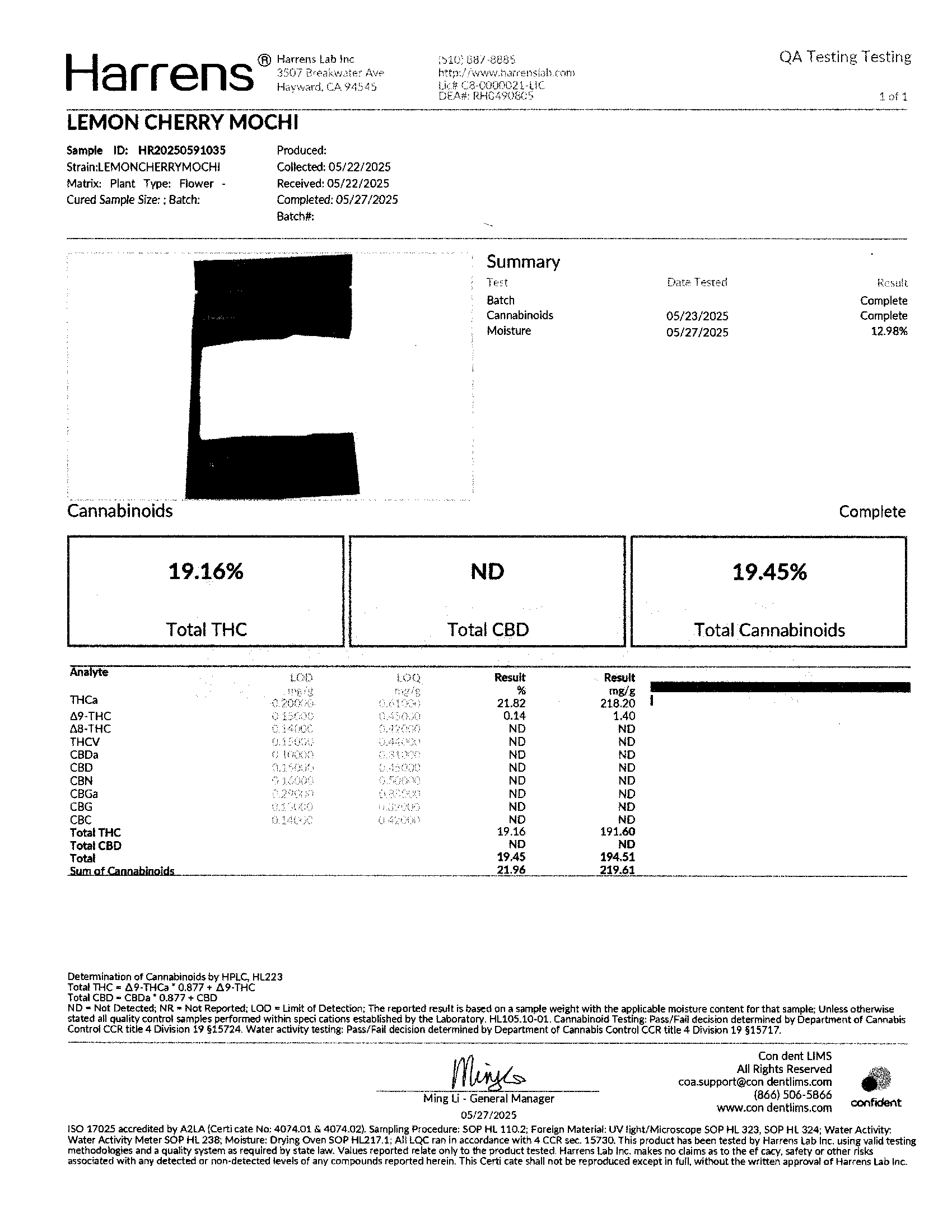 Lemon Cherry Mochi (Hybrid)