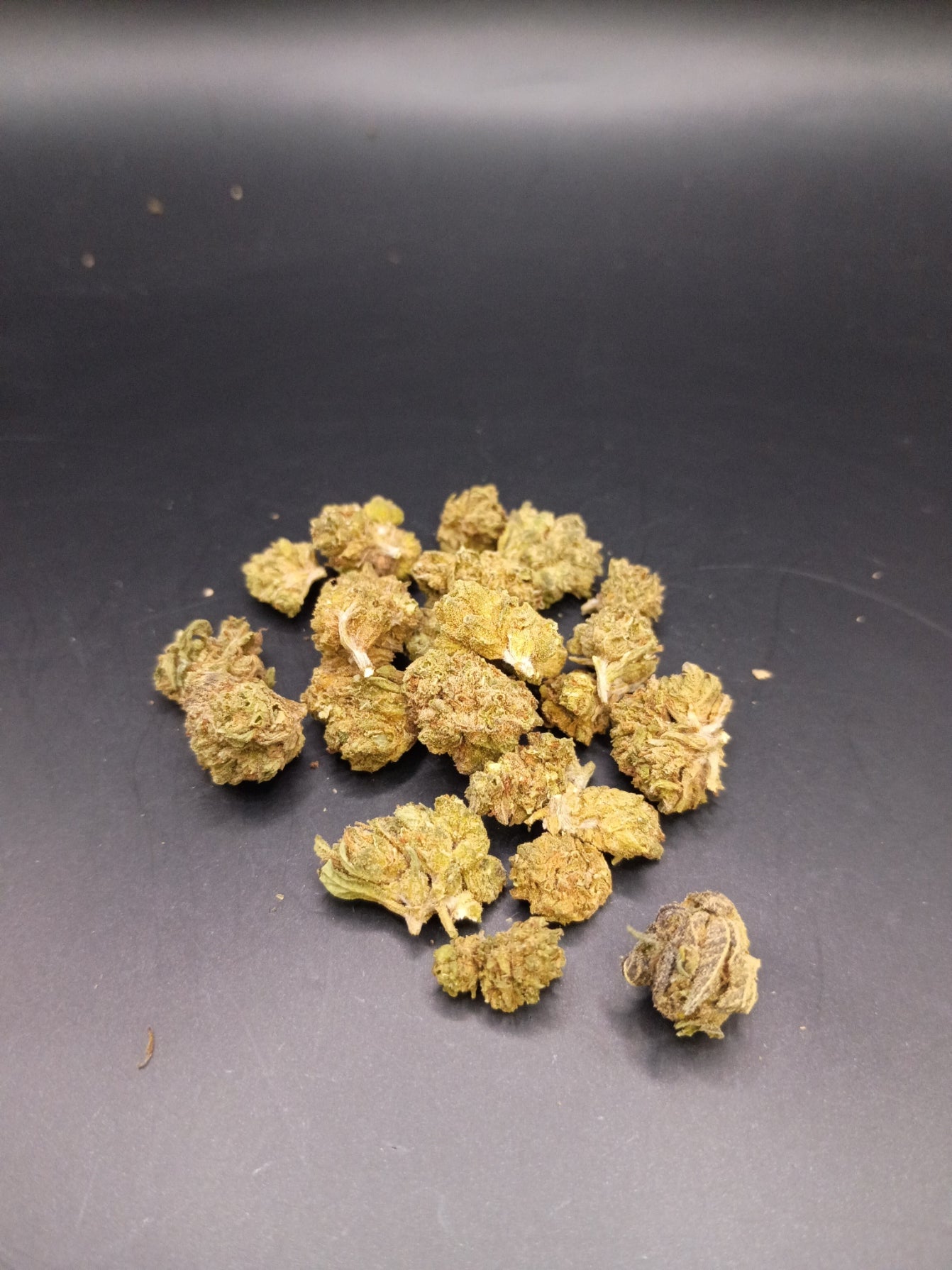 Lucky Charmz (Hybrid)