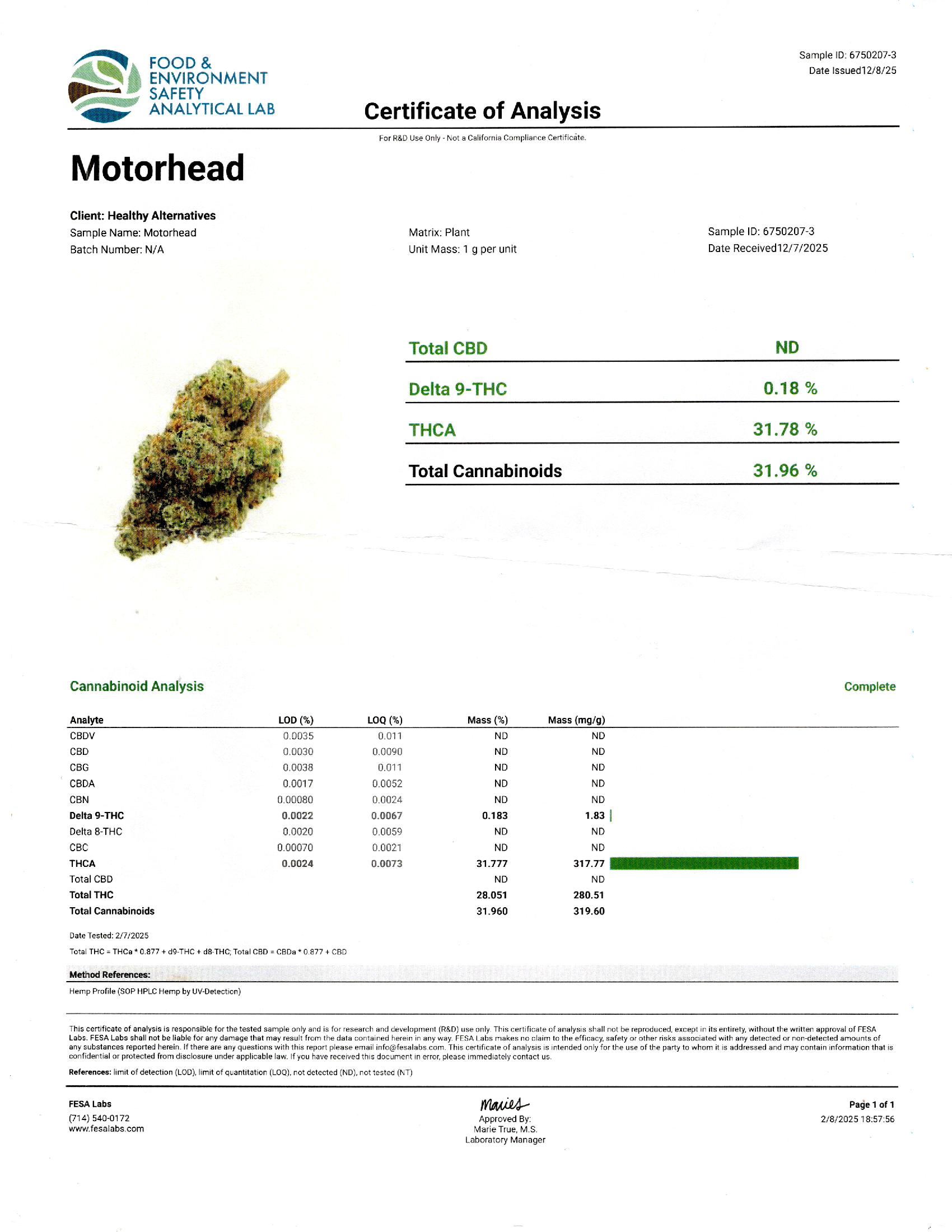 Motorhead (Indica Hybrid)
