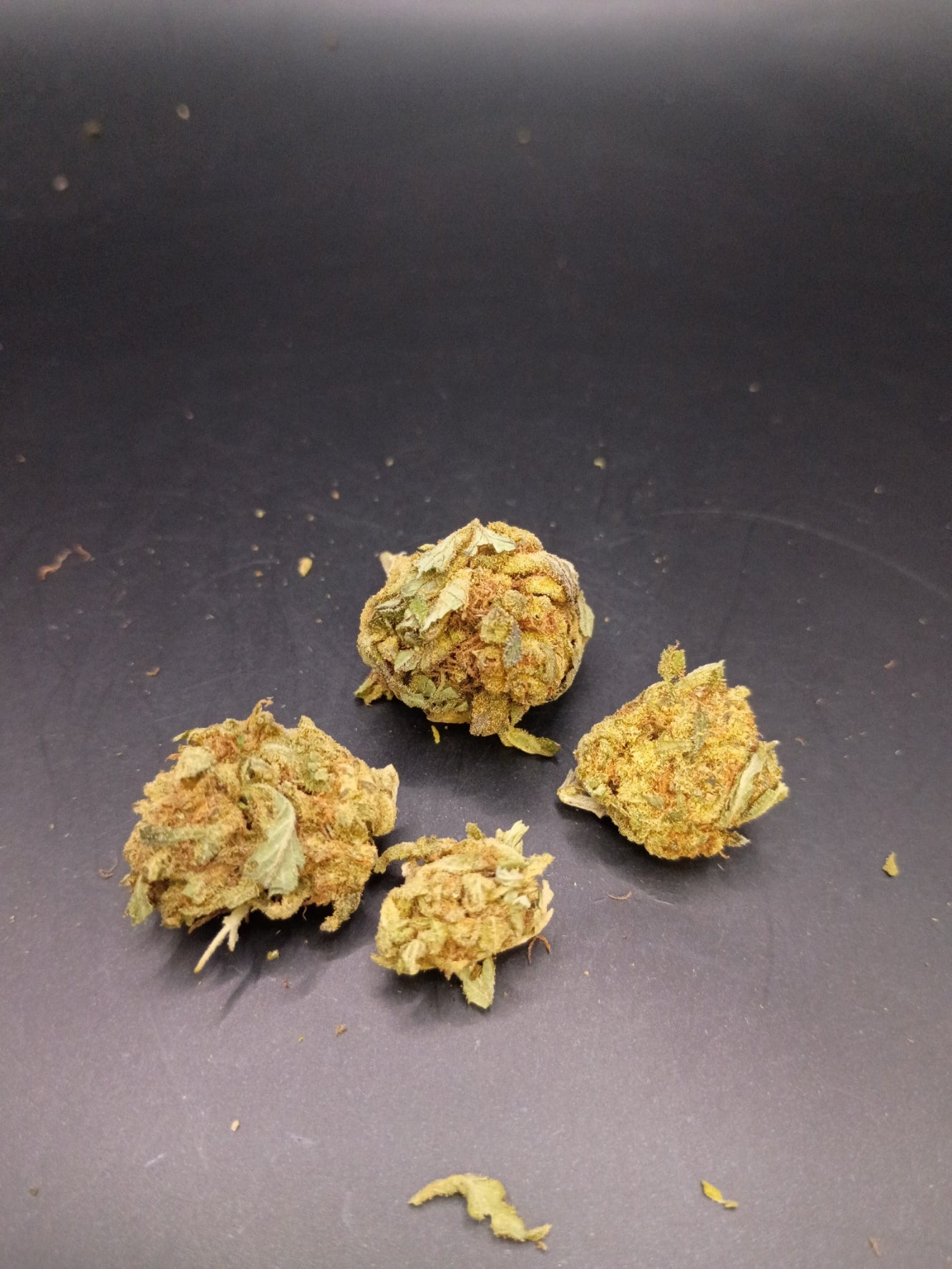 Papaya (Indica Hybrid)