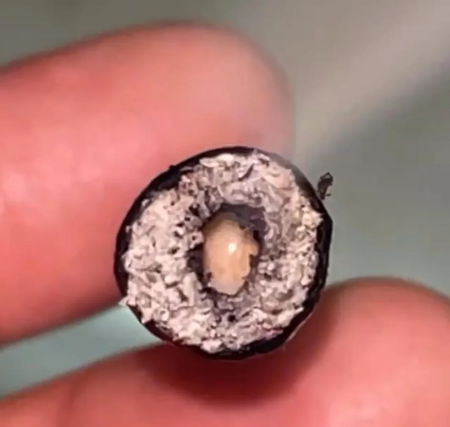 Hash Holes Peachy Ringz