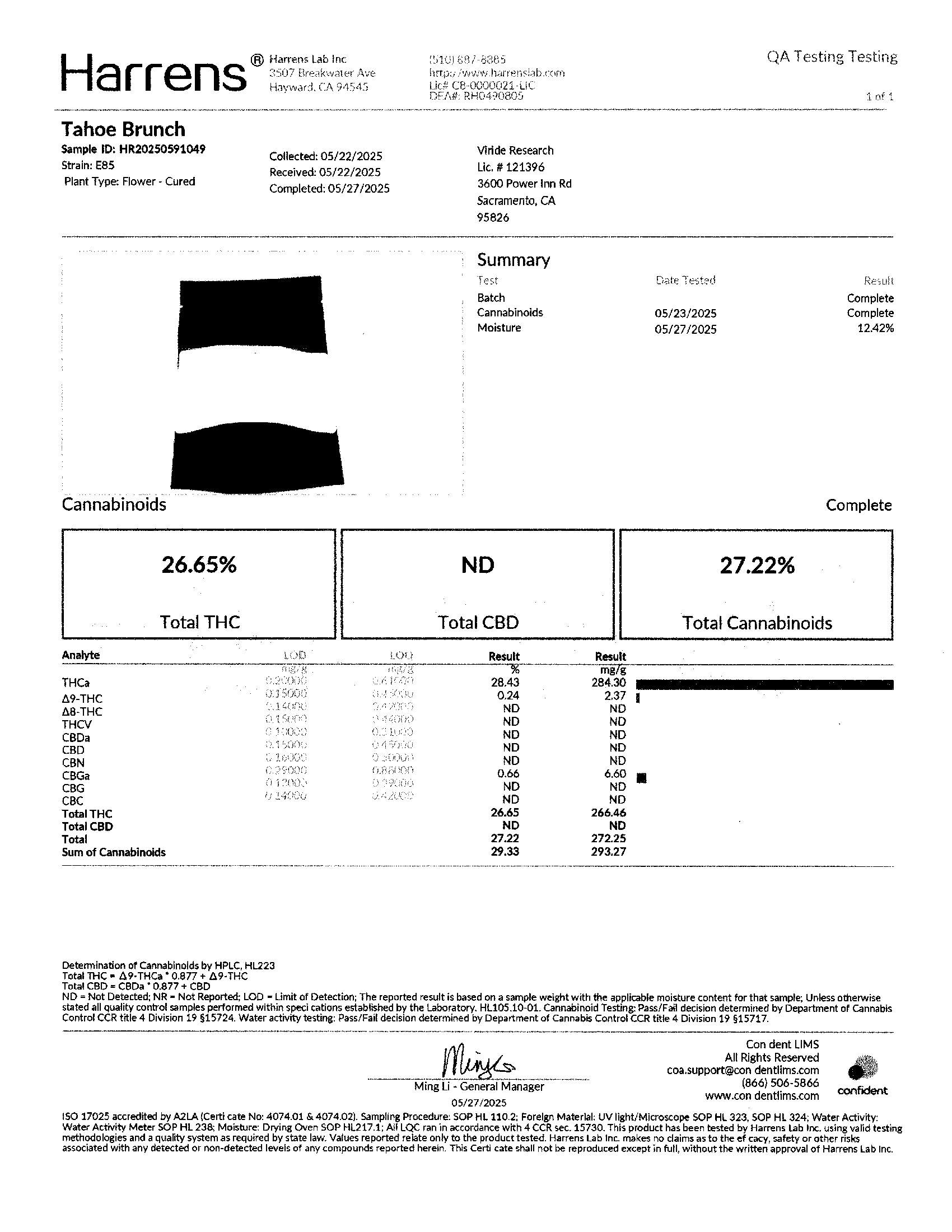 Tahoe Brunch (Hybrid)
