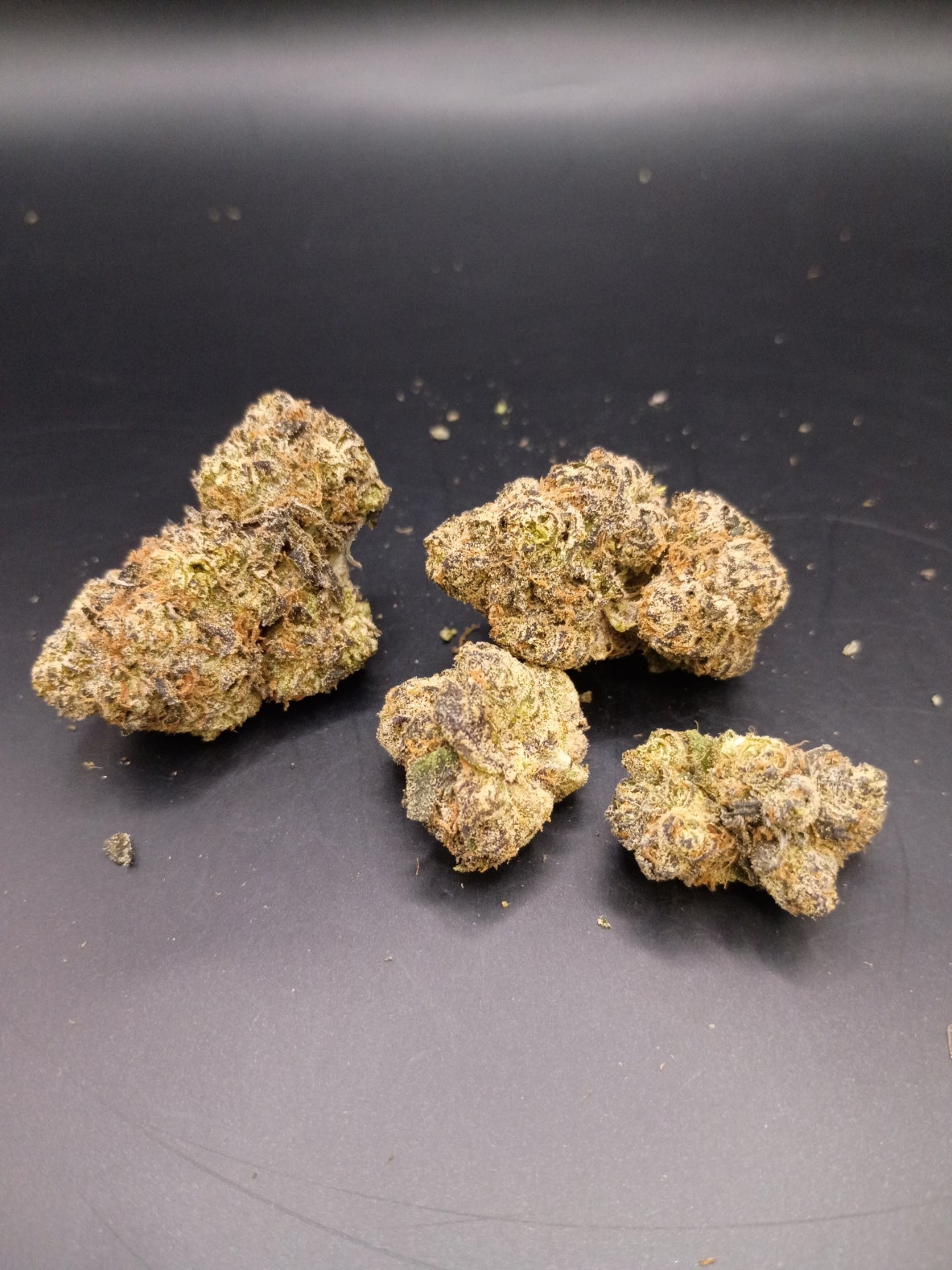 Ztopia (Indica Hybrid)